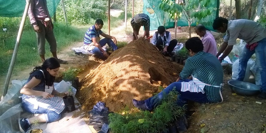 Visitors enjoying at nursery at Aravali Biodiversity Park after trekking in the hills