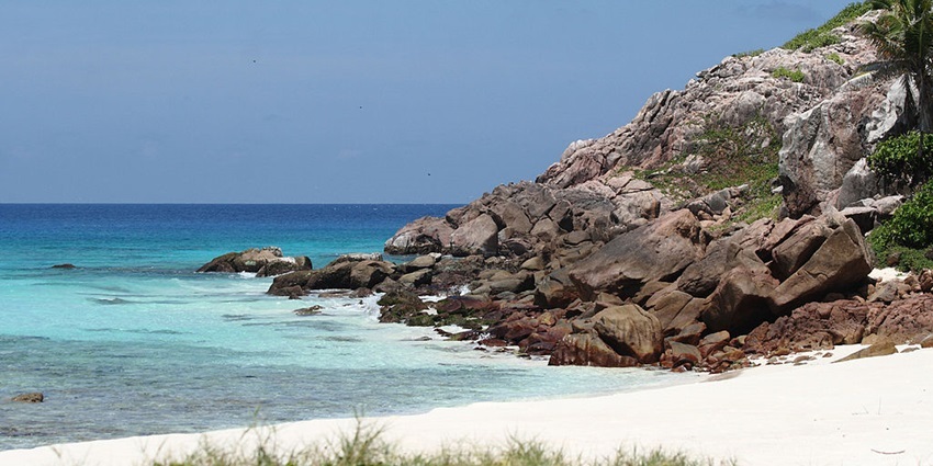 Pristine wildlife sanctuary with seabirds, turtles, and lush vegetation