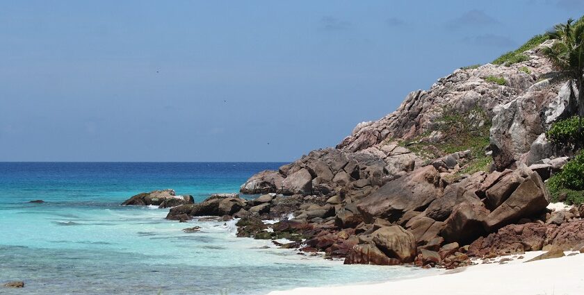 An image of Aride Island Nature Reserve, a biodiversity hotspot with rare bird species.