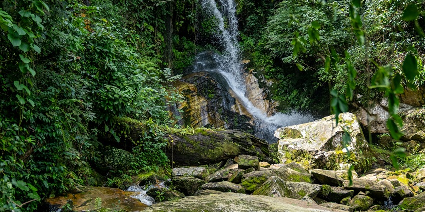Nigeria waterfalls, featuring cool cascading waters and a lush forest setting.