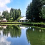 A serene panoramic view of one of the artificial lakes in India surrounded by trees all around