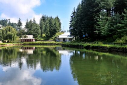 A serene panoramic view of one of the artificial lakes in India surrounded by trees all around