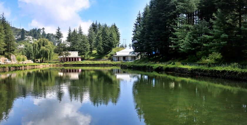 A serene panoramic view of one of the artificial lakes in India surrounded by trees all around