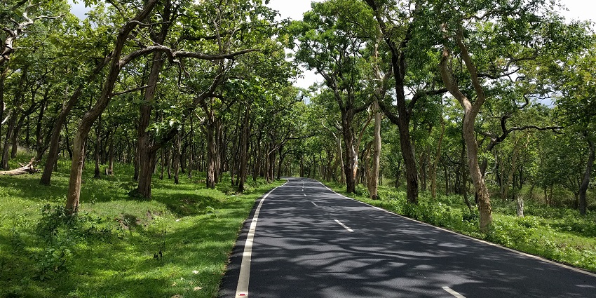 Bandipur National Park is among the best places to visit in South India in March.