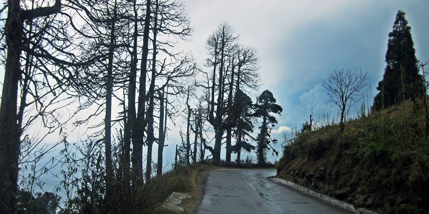 An image of scenic beauty, showcasing the Bangalore to Coorg road, amongst the most famous road trips in South India.