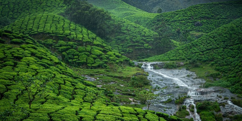 A view of the tea plantations of Munnar, one of the top places for road trips in India.