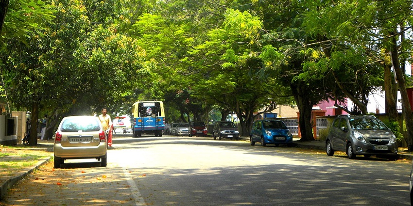 An image of the road, showcasing Bangalore to Ooty road route.