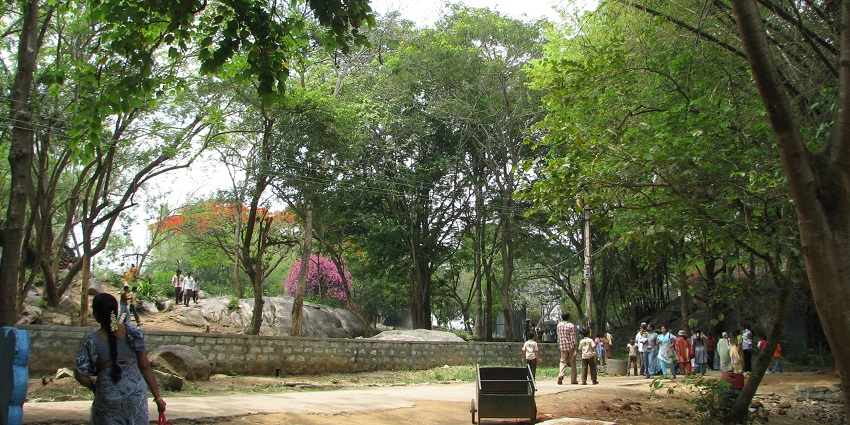 Bannerghatta National Park, a place to visit as mentioned in the Bangalore travel guide.