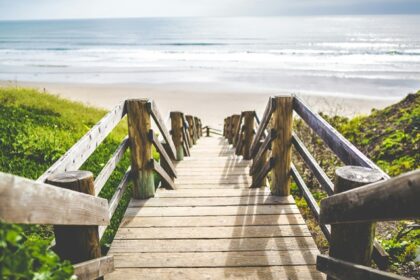 Image of a beach pathway with wooden small bridge surrounded by small lush green plants - beaches in Seville