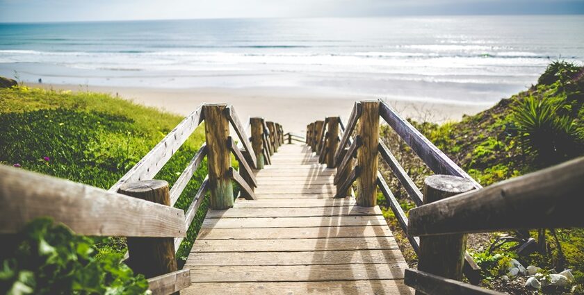 Image of a beach pathway with wooden small bridge surrounded by small lush green plants - beaches in Seville