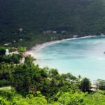 An image of a Beach in Tortola with white sands, crystal-clear waters and marine life