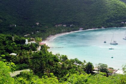 An image of a Beach in Tortola with white sands, crystal-clear waters and marine life