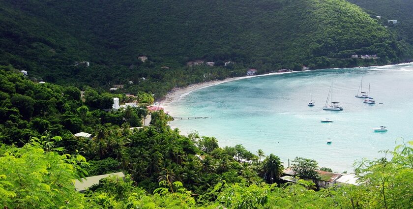 An image of a Beach in Tortola with white sands, crystal-clear waters and marine life