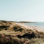 An image showing a view of Tylösand Beach, one of the most famous Beaches in Sweden