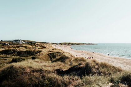 An image showing a view of Tylösand Beach, one of the most famous Beaches in Sweden