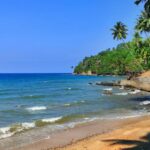 An image showing Andaman and Nicobar islands, one of the beautiful islands in India, with sandy shores.