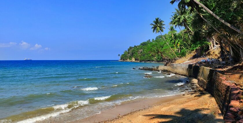 An image showing Andaman and Nicobar islands, one of the beautiful islands in India, with sandy shores.