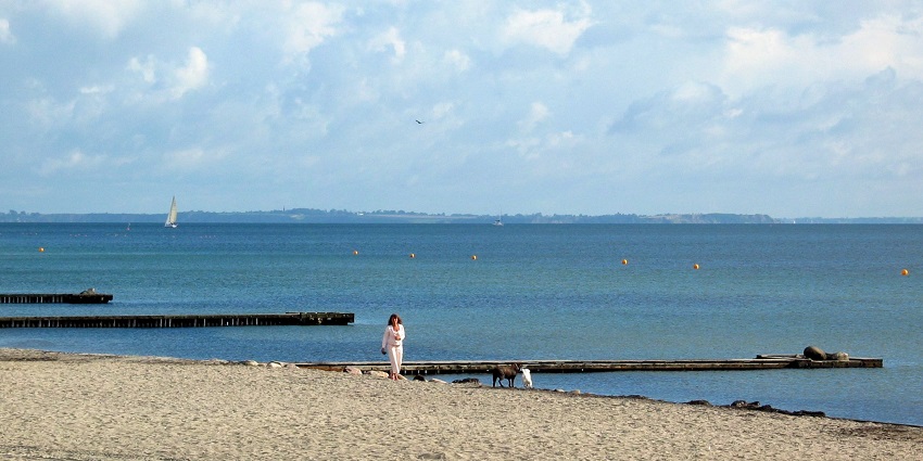 An image of Bellevue Beach, a popular spot near Copenhagen.