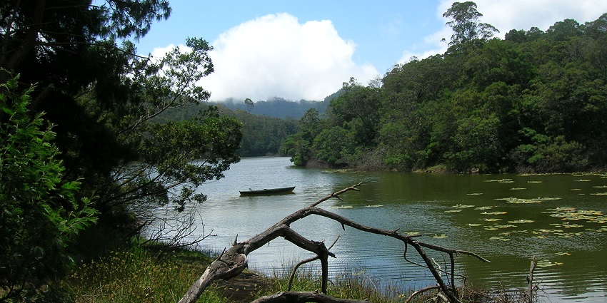 A stranded boat in the greenish water of the Berijam Lake near Kodaikanal, Tamil Nadu
