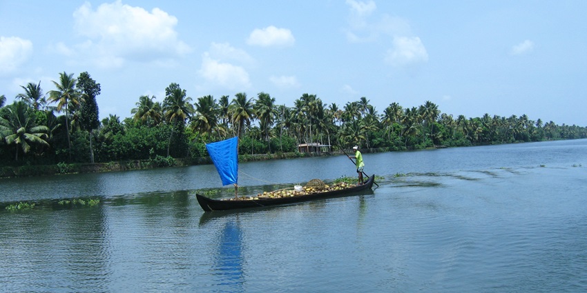 A local navigates a canoe through the tranquil waters of Kerala’s Vembanad Lake