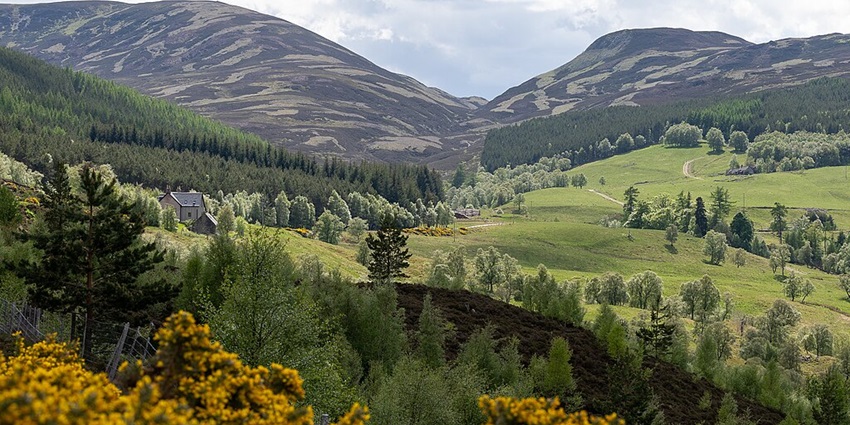 A scenic view of Cairngorms National Park green fields, and forests, under a cloudy sky.
