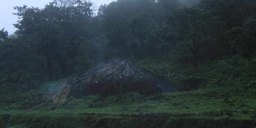 Monsoon, changes the landscape from dry grassland to evergreen blanket.