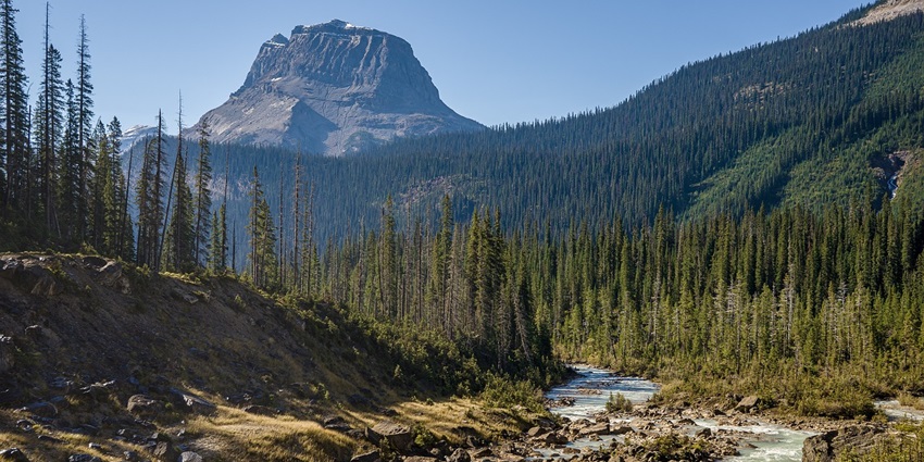 An image showing a view of Sarek National Park, a famous tourist spot in Sweden.
