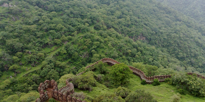The best time for the Kumbhalgarh Jungle Safaris is between October and March