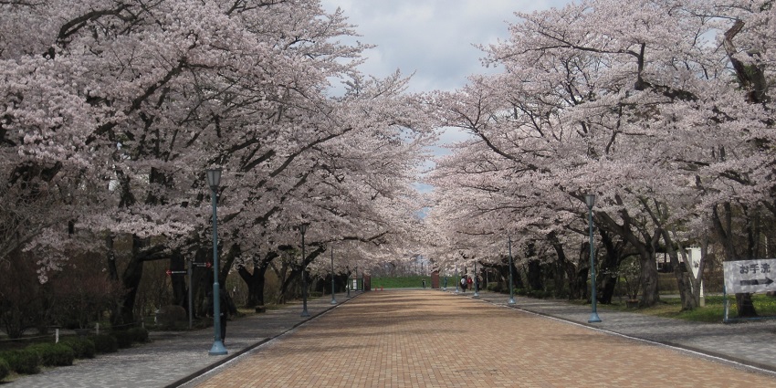 The best time to visit the Mori Art Museum in Tokyo is March to May.