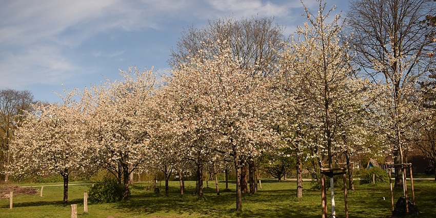 The best time to visit the museum is in spring with mild weather and cherry blossoms.