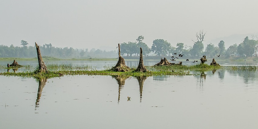 A beautiful landscape of Deepor Beel, highlighting the best time to visit.