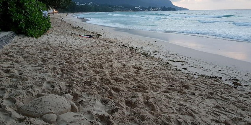 A sandy beach with gentle waves rolling in and a sand turtle sculpture in the foreground