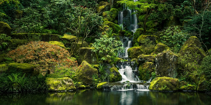 The mesmerizing beauty of Sahastradhara Waterfalls makes it a must-visit destination