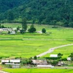 An image of Ziro Valley, the best valley in India, with terraced rice fields, pine forests