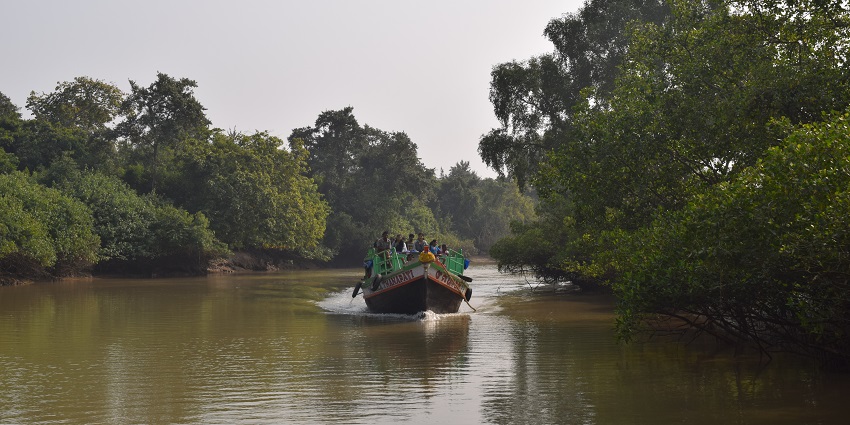 Bhitarkanika mangrove wetlands with multiple people in a boat surrounded by greenery.