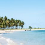 An image of a tropical beach with white sand and trees resembling Bikini Beaches in India