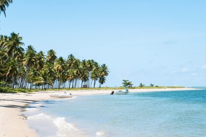 An image of a tropical beach with white sand and trees resembling Bikini Beaches in India