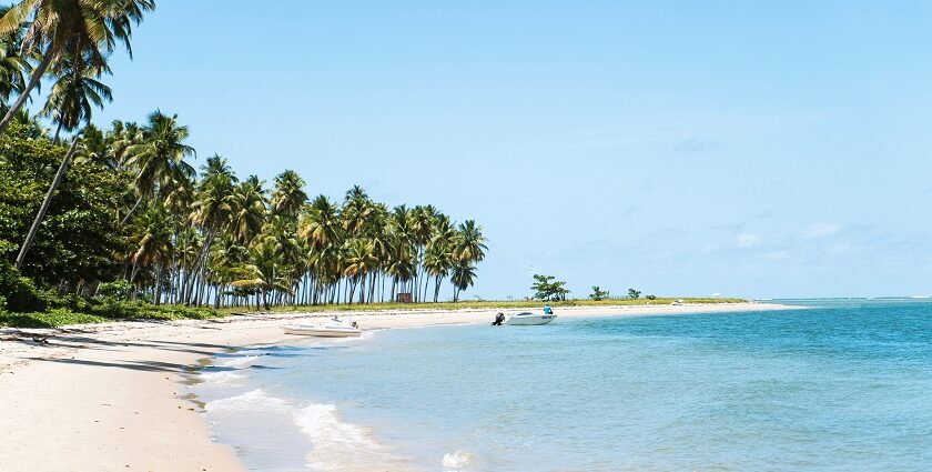 An image of a tropical beach with white sand and trees resembling Bikini Beaches in India