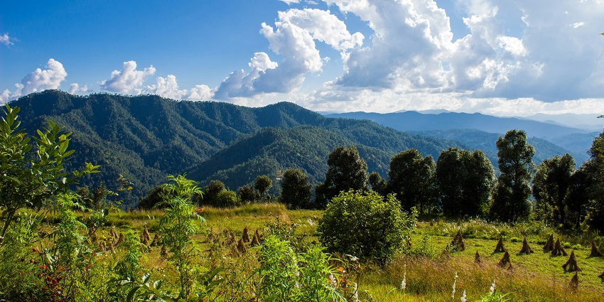 Explore Binsar Wildlife Sanctuary which is one of the best places to visit near Ranikhet.