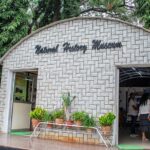 An image of Natural History Museum entrance, one of the biological museums in India.