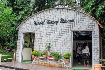 An image of Natural History Museum entrance, one of the biological museums in India.