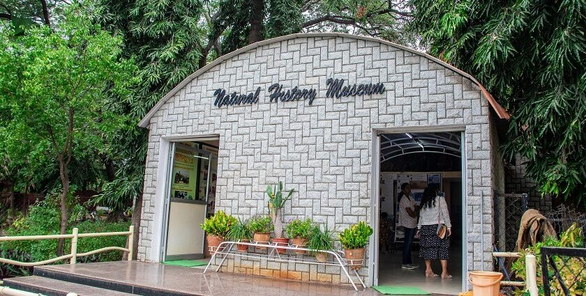 An image of Natural History Museum entrance, one of the biological museums in India.