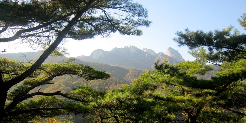 Enjoy spotting diverse bird species in serene natural settings.
