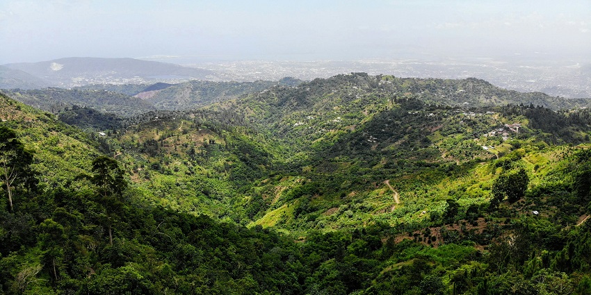 Beautiful view of the serene greenery of the Blue Mountains in Jamaica
