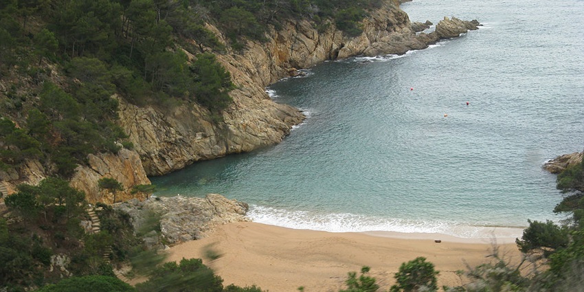 Boreas Wreck is a stunningly beautiful Costa Brava scuba diving site