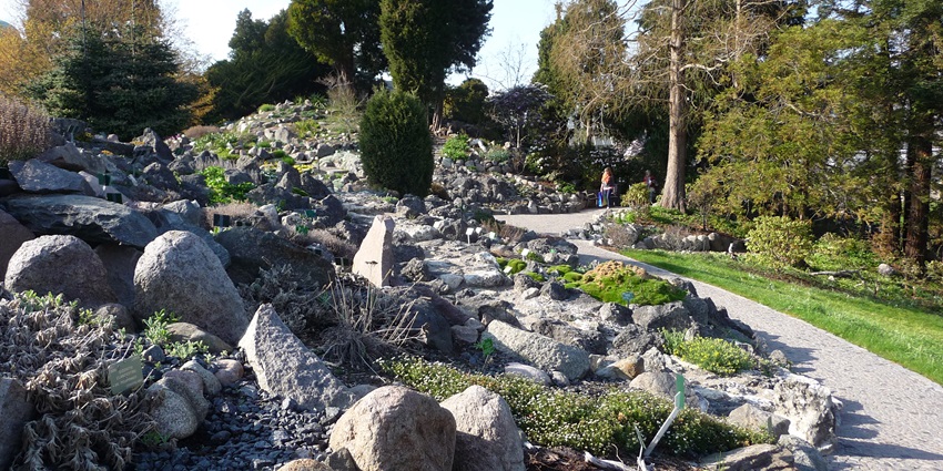 An image of the Botanical Garden in Copenhagen, with diverse plant species and flowers.