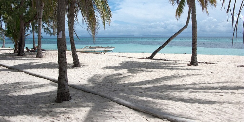 The Bounty beach is filled with coconut trees and occupies the majority of the southern part of the island.