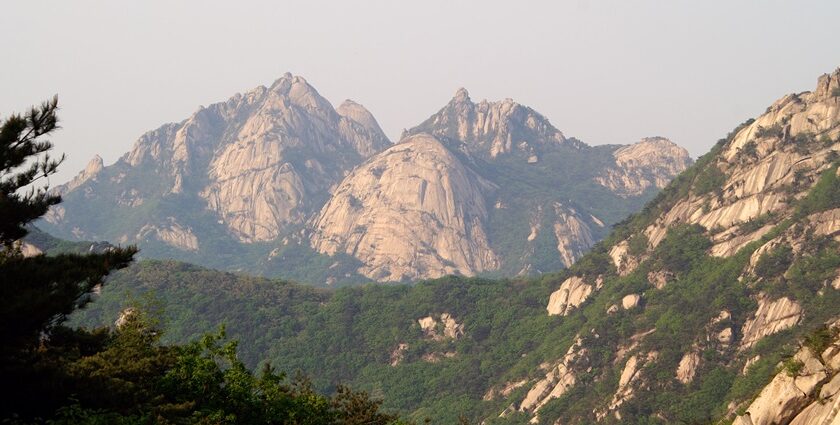 Bukhansan National Park offers hiking, stunning views, temples, and wildlife.