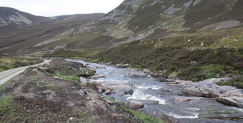 An image of Cairngorms National Park featuring mountains, forests and a flowing river