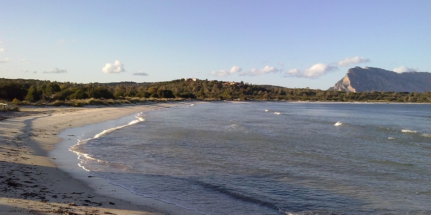 Scenic view at Cala Brandinchi one of the best beaches in Italy